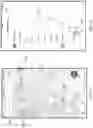 Fig. 06 - Formulated Query On Portable Device