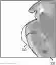 Fig. 01 - Predicting correctness of algorithmic segmentation