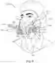 Fig. 07 - RESPIRATOR MASK WITH EXHALATION FILTER