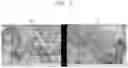 Fig. 03 - Method for preparing single-atom catalyst supported on carbon support