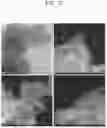 Fig. 04 - Method for preparing single-atom catalyst supported on carbon support