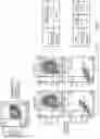 Fig. 07 - T CELL RECEPTOR