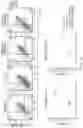 Fig. 29 - T CELL RECEPTOR