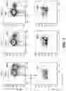Fig. 02 - Materials and methods for the manufacture of pluripotent stem cells