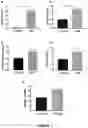 Fig. 02 - COMPOSITIONS AND METHODS FOR TREATING VIRAL INFECTIONS