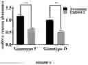 Fig. 07 - COMPOSITIONS AND METHODS FOR TREATING VIRAL INFECTIONS