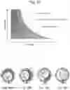 Fig. 33 - COMPRESSOR WITH LIQUID INJECTION COOLING