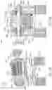 Fig. 34 - COMPRESSOR WITH LIQUID INJECTION COOLING