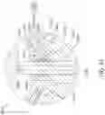 Fig. 52 - COMPRESSOR WITH LIQUID INJECTION COOLING