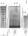 Fig. 07 - Flow cytometer with adjustable positional offset sort deflection plates and methods of using the same