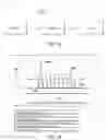 Fig. 02 - RAPID MULTIPLEXED SEROLOGICAL TEST