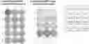 Fig. 01 - Method for Predicting Human Immune Response
