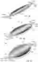 Fig. 08 - MEMS SCANNING MIRROR WITH MULTIPLE COMB DRIVES