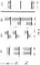 Fig. 09 - Adaptive alignment