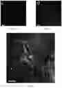 Fig. 03 - System and method for real-time in-situ holographic microscopy