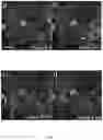Fig. 04 - System and method for real-time in-situ holographic microscopy
