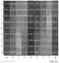 Fig. 09 - Process of realization on a plate of a plurality of chips, each with an individualization area