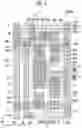 Fig. 05 - Display device including pixels with different types of transistors