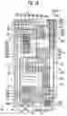 Fig. 19 - Display device including pixels with different types of transistors