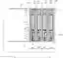 Fig. 01 - Display panel and electronic device