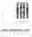 Fig. 08 - Display panel and electronic device