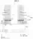Fig. 06 - Display device with alternating fan-out lines