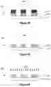 Fig. 07 - PATTERNING OF ORGANIC FILM BY WET ETCHING PROCESS