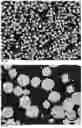 Fig. 12 - LITHIUM POSITIVE ELECTRODE ACTIVE MATERIAL