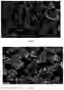 Fig. 02 - Artificial graphite, secondary battery, method for the preparation thereof, and apparatus