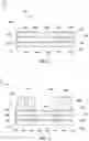 Fig. 02 - Additive manufacturing for integrated circuit assembly cables