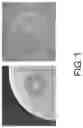 Fig. 02 - and method for improving fermentation quality of low-salt fish sauce by 