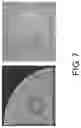 Fig. 08 - and method for improving fermentation quality of low-salt fish sauce by 
