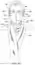 Fig. 06 - WEARABLE ARTICLE INCLUDING A SCARF AND A MASK