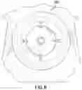 Fig. 09 - Food protection apparatuses, assemblies, and methods of use