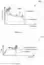 Fig. 10 - Method and system for controlling rotational speed of an agitator or catheter