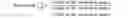 Fig. 02 - Absorbent article with elastic laminate