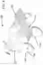 Fig. 05 - Nonmetallic wheelchair
