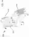Fig. 15 - Nonmetallic wheelchair