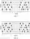Fig. 02 - SAFE AND EFFICIENT VIBROTACTILE MULTI-CHANNEL STIMULATION FOR THE TREATMENT OF BRAIN DISORDERS