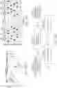 Fig. 08 - SAFE AND EFFICIENT VIBROTACTILE MULTI-CHANNEL STIMULATION FOR THE TREATMENT OF BRAIN DISORDERS