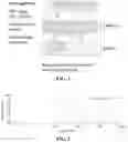 Fig. 02 - ULTRAVIOLET RAY-SHIELDING AGENT COMPOSITION ABSORBING RADIATION IN UVA RANGE AND PREPARATION METHOD THEREFOR