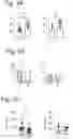 Fig. 02 - Native whey protein for treating and/or preventing intestinal infection