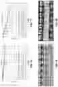 Fig. 08 - Stable sustained release therapeutic compositions in aprotic polar solvents and methods of manufacturing the same