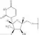 Fig. 06 - METABOLICALLY STABLE PRODRUGS