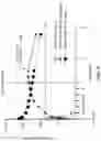 Fig. 08 - Dosing regimens and related compositions and methods
