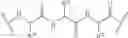 Fig. 32 - CONJUGATE
