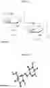 Fig. 02 - COMPLEX POLYSACCHARIDE-BOUND RADIOISOTOPE CHELATES AND METHODS OF TREATING MALIGNANCIES THEREWITH