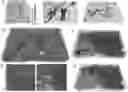 Fig. 01 - MINERALIZATION OF CELL-LADEN MATRICES