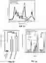 Fig. 03 - MINERALIZATION OF CELL-LADEN MATRICES