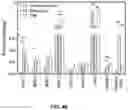 Fig. 08 - MINERALIZATION OF CELL-LADEN MATRICES